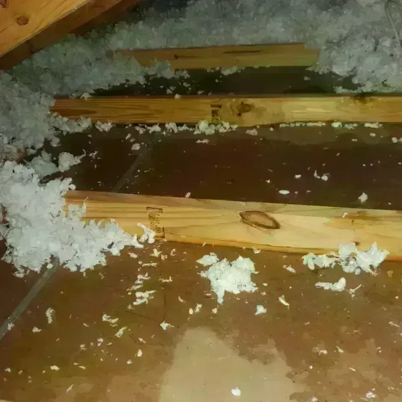 Attic Water Damage in Woodworth, LA