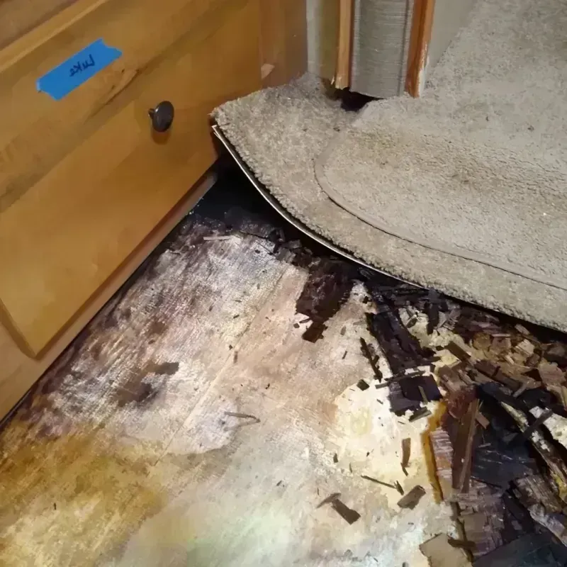 Wood Floor Water Damage in Woodworth, LA